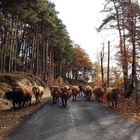 Vakantiehuis Grange Renovee Avec Vue Dans Village Paisible